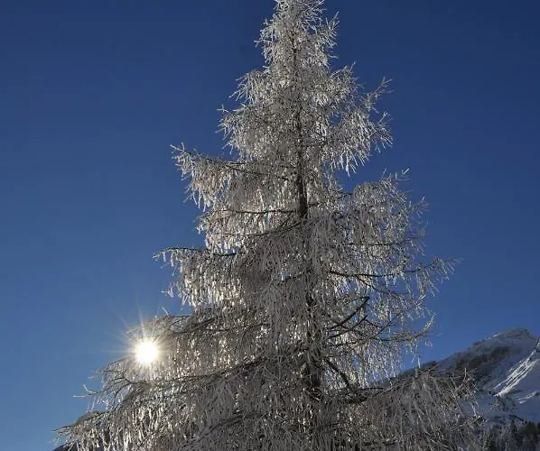 Tauernpasshoehe Obertauern